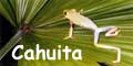 Cahuita