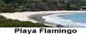 Playa Flamingo