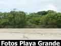 Photos of Playa Grande Costa Rica
