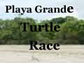 Turtle race Playa Grande Costa Rica