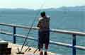 Beelden Puntarenas - Fishing