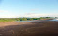 Fotos de Ostional Costa Rica