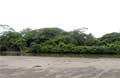 Foto Potrero - Costa Rica