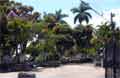 Grecia Costa Rica Beeld 2