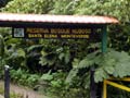 Beelden van Santa Elena Nebelwald Reservat Costa Rica