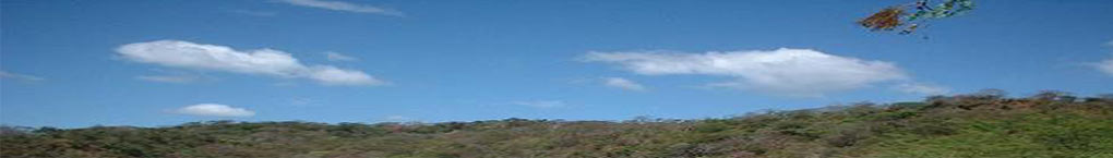 Tortuguero