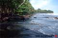 Cahuita Costa Rica - Plage negra dans le nord