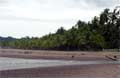 Playa Jaco Costa Rica Beeld 10