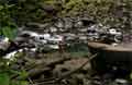 La Fortuna Costa Rica - Wasserfall Bild 11