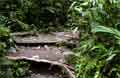 La Fortuna Costa Rica - Wasserfall Bild 18