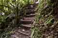 La Fortuna Costa Rica - Wasserfall Bild 19