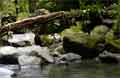 La Fortuna Costa Rica - Wasserfall Bild 8