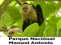 Beelden van Nationalpark Manuel Antonio Costa Rica