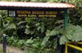 Reserva Biologica Bosque Nuboso Santa Elena Monteverde Foto 1