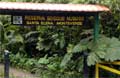 Cloud Forest Biological Reserve Santa Elena Monteverde Photo 1