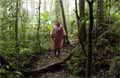 Cloud Forest Biological Reserve Santa Elena Monteverde Photo 9