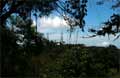 Skywalk Monteverde Foto 13