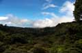 Skywalk Monteverde Foto 16