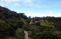 Skywalk Monteverde Foto 2