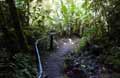 Skywalk Monteverde Foto 9