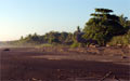 Ostional Costa Rica - Strand