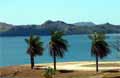 Playa Flamingo - Swinging palms at the beach