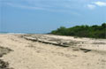 Playa Grande - Beach view