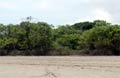 Playa Grande - Beach view