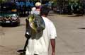 Playas del Coco Costa Rica - Fishing