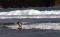 Playa Samara Costa Rica Beeld 14