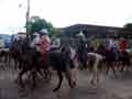 Fiesta 25. Juli Santa Cruz Fiesta Pferde Parade