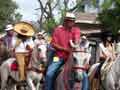 Santa Cruz Fiesta traditional - Horse parade