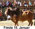 Pictures Fiesta January 15th in Santa Cruz Costa Rica