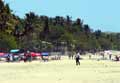 Tamarindo Costa Rica Bild9