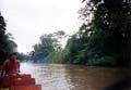 Tortuguero Costa Rica Beeld 17