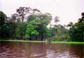 Tortuguero Costa Rica Beeld 5