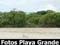 Fotos de Playa Grande Costa Rica
